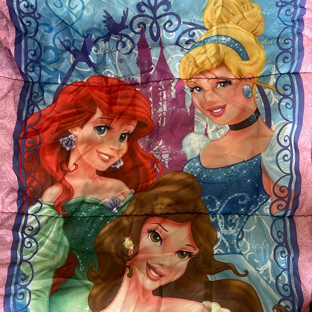 Sleeping Bag- Disney Princess